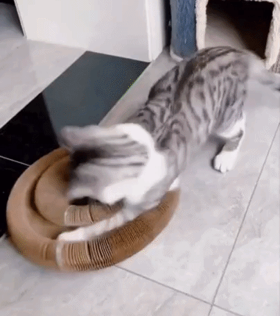 FlexiRasca™ - Rascador Antiestrés para Gatos